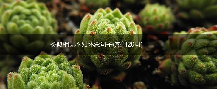 类似相见不如怀念句子(热门20句),第1张