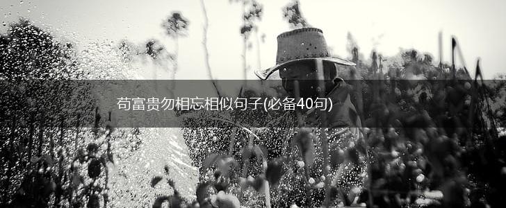 苟富贵勿相忘相似句子(必备40句),第1张