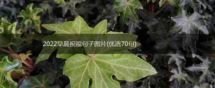 2022早晨祝福句子图片(优选70句),第1张