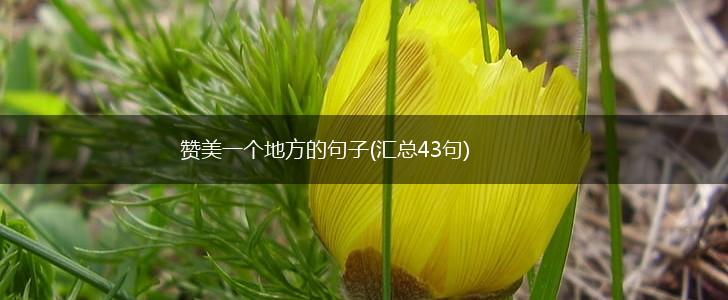 赞美一个地方的句子(汇总43句),第1张