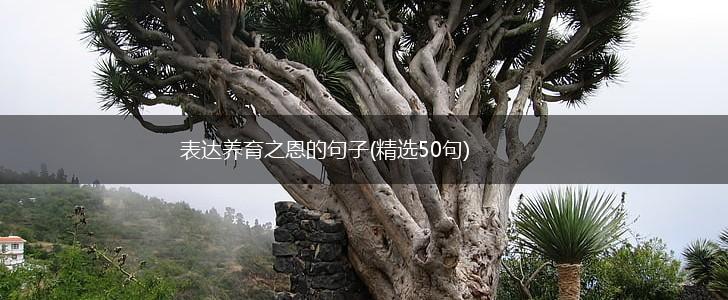 表达养育之恩的句子(精选50句),第1张