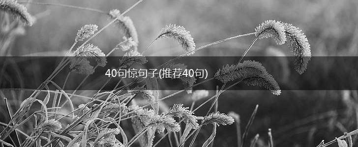 40句惊句子(推荐40句),第1张