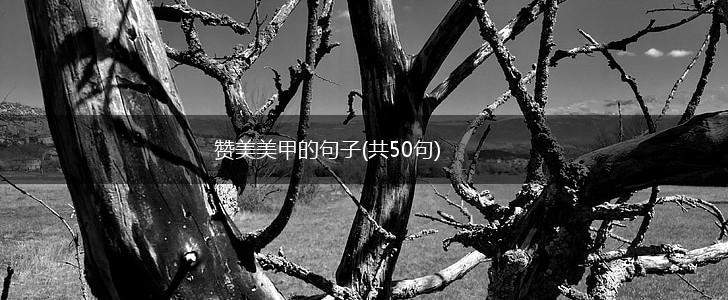 赞美美甲的句子(共50句),第1张