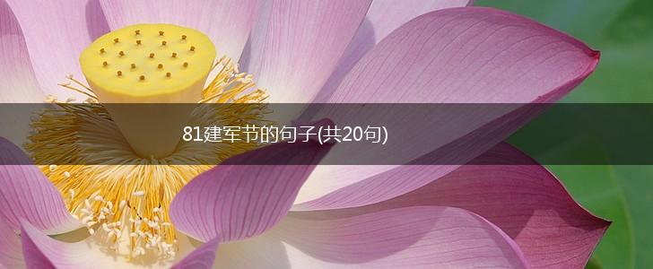 81建军节的句子(共20句),第1张