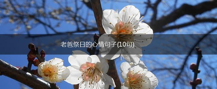 老爸祭日的心情句子(10句),第1张