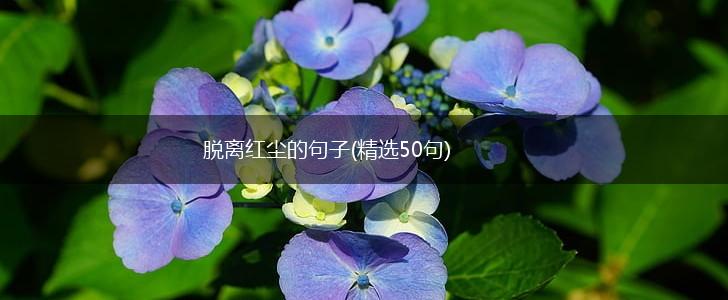 脱离红尘的句子(精选50句),第1张