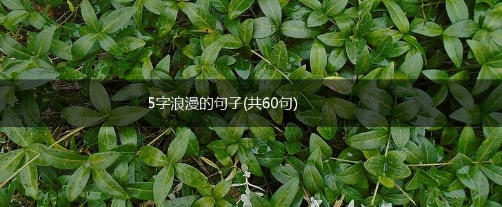 5字浪漫的句子(共60句),第1张 5字浪漫的句子(共60句),第1张