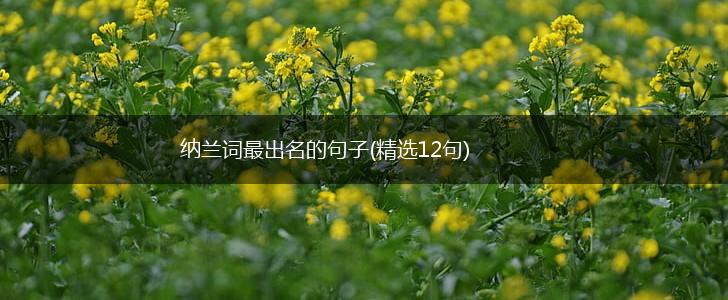 纳兰词最出名的句子(精选12句),第1张