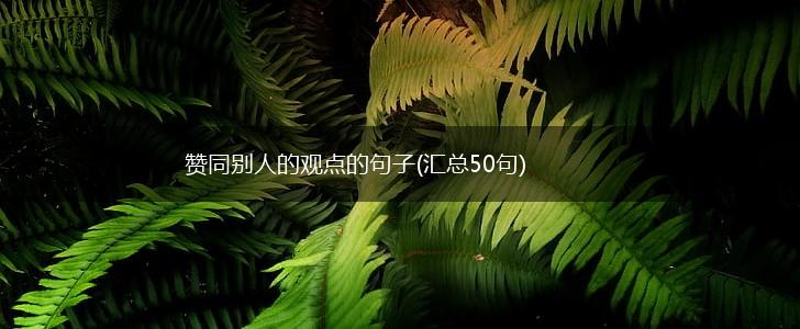 赞同别人的观点的句子(汇总50句),第1张