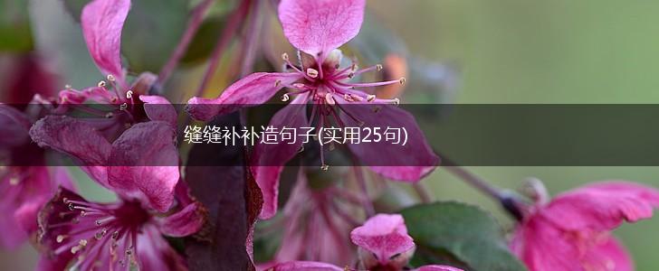缝缝补补造句子(实用25句),第1张
