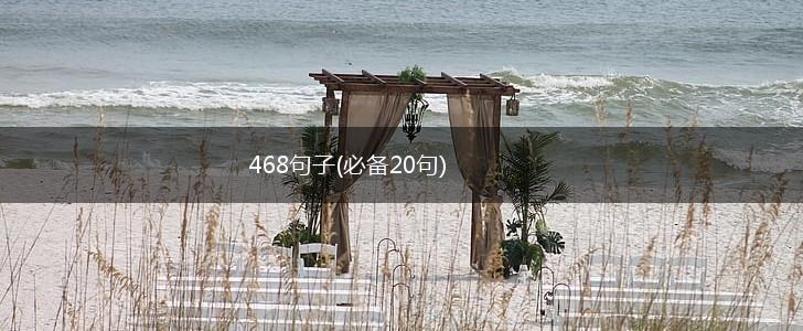 468句子(必备20句),第1张