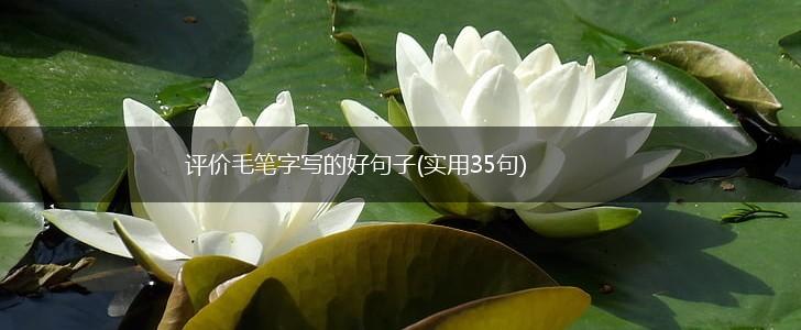 评价毛笔字写的好句子(实用35句),第1张