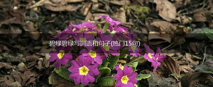 碧绿碧绿写词语和句子(热门15句),第1张