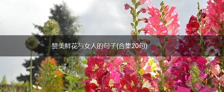 赞美鲜花与女人的句子(合集20句),第1张