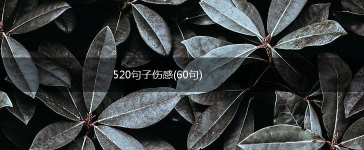 520句子伤感(60句),第1张 520句子伤感(60句),第1张