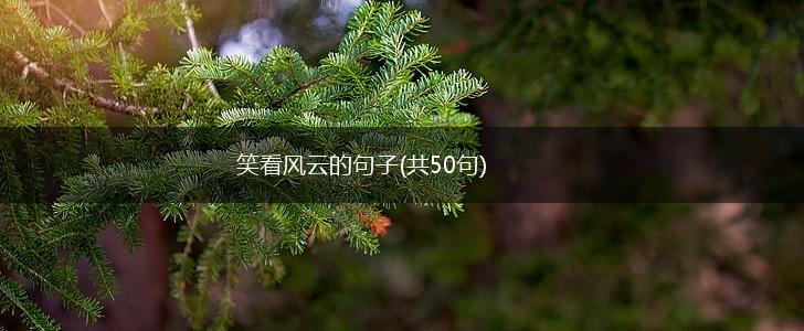 笑看风云的句子(共50句),第1张