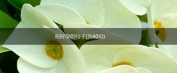 祝好孕的句子(共40句),第1张