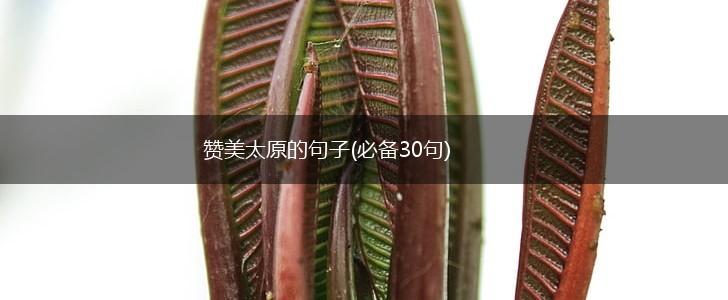 赞美太原的句子(必备30句),第1张