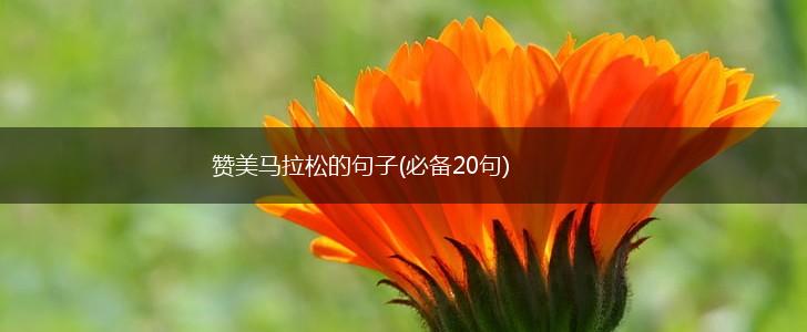 赞美马拉松的句子(必备20句),第1张