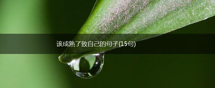 该成熟了致自己的句子(15句),第1张 该成熟了致自己的句子(15句),第1张