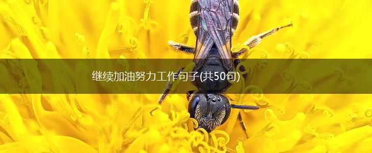 继续加油努力工作句子(共50句),第1张