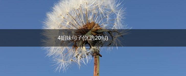 4姐妹句子(优选20句),第1张