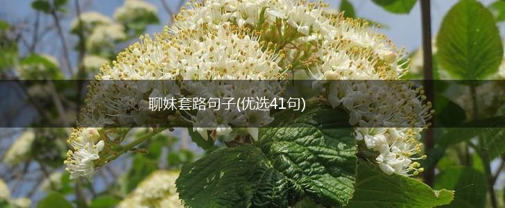 聊妹套路句子(优选41句),第1张