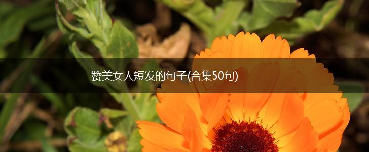 赞美女人短发的句子(合集50句),第1张