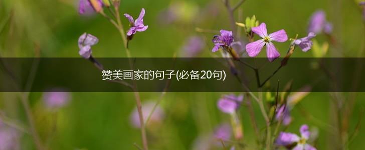 赞美画家的句子(必备20句),第1张