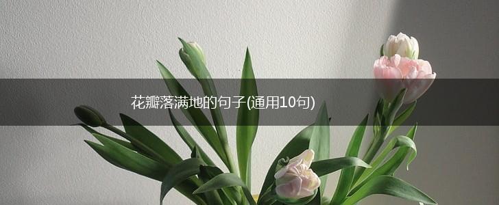 花瓣落满地的句子(通用10句),第1张