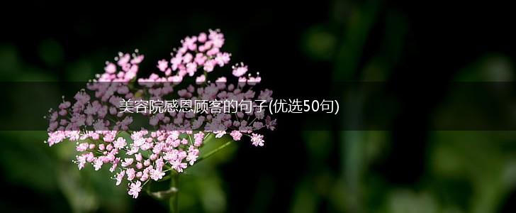 美容院感恩顾客的句子(优选50句),第1张