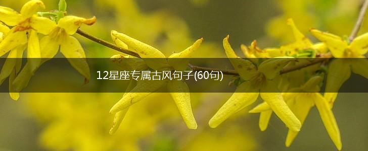 12星座专属古风句子(60句),第1张