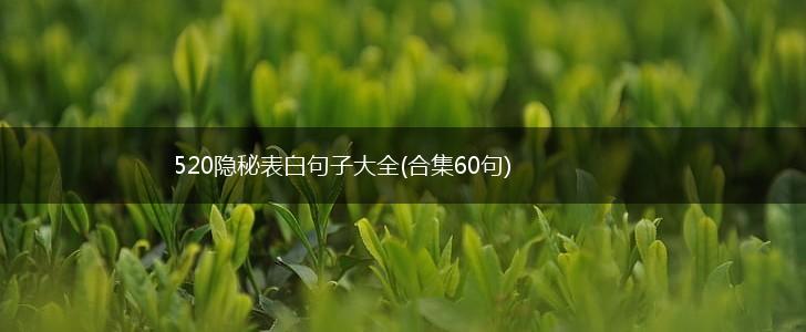 520隐秘表白句子大全(合集60句),第1张