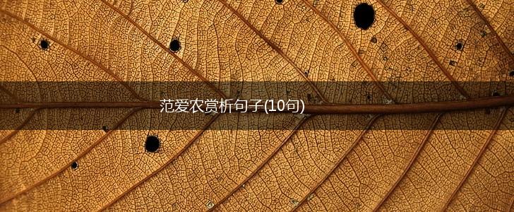 范爱农赏析句子(10句),第1张