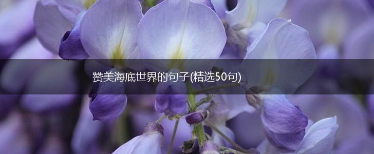 赞美海底世界的句子(精选50句),第1张