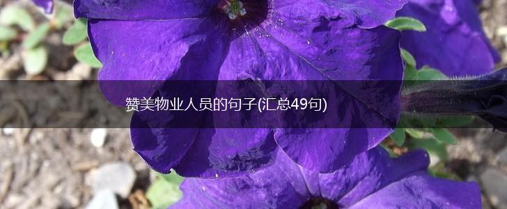 赞美物业人员的句子(汇总49句),第1张