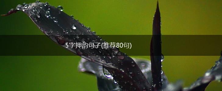 5字押韵句子(推荐80句),第1张