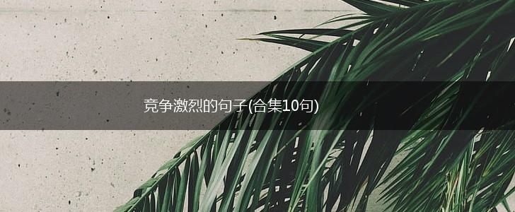 竞争激烈的句子(合集10句),第1张