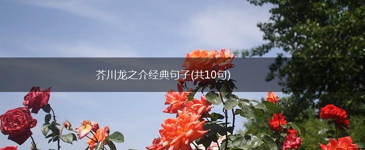 芥川龙之介经典句子(共10句),第1张