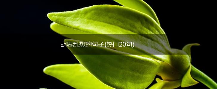 胡思乱想的句子(热门20句),第1张
