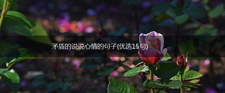 矛盾的说说心情的句子(优选15句),第1张
