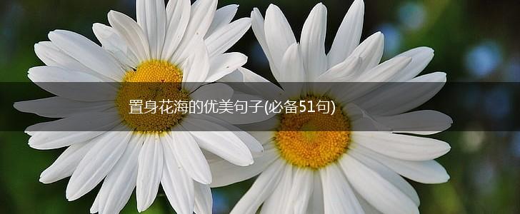 置身花海的优美句子(必备51句),第1张