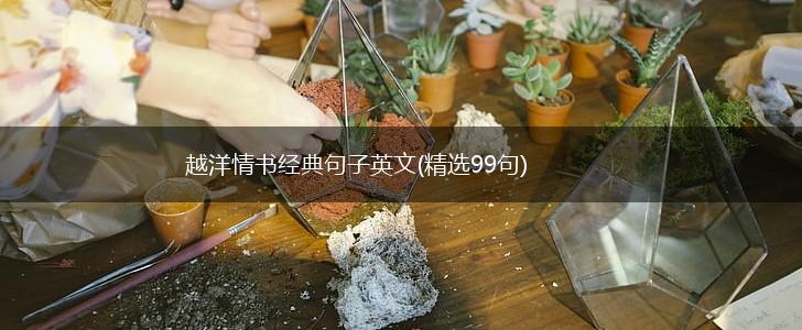 越洋情书经典句子英文(精选99句),第1张