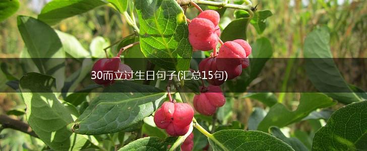 30而立过生日句子(汇总15句),第1张