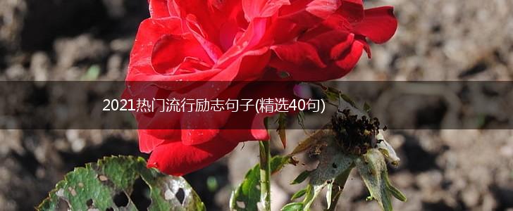2021热门流行励志句子(精选40句),第1张
