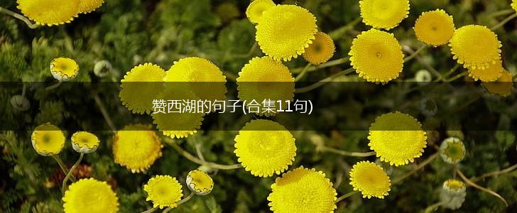 赞西湖的句子(合集11句),第1张
