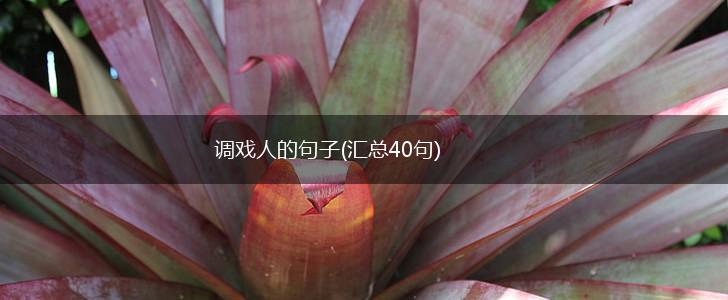 调戏人的句子(汇总40句),第1张