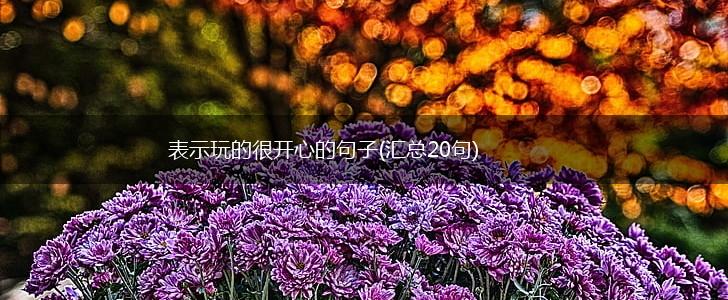 表示玩的很开心的句子(汇总20句),第1张