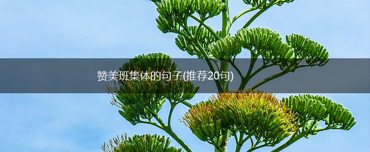 赞美班集体的句子(推荐20句),第1张 赞美班集体的句子(推荐20句),第1张