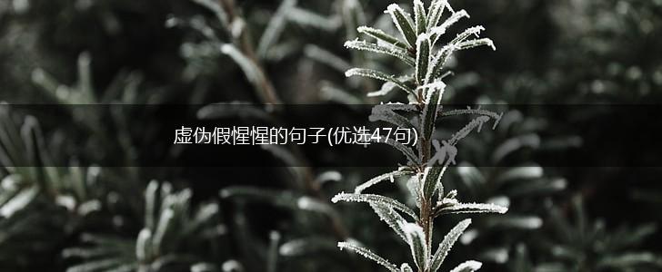 虚伪假惺惺的句子(优选47句),第1张